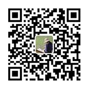 同风网络 信息发布网微信客服